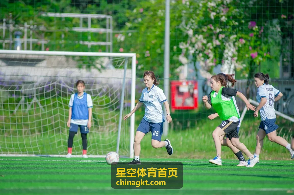 星空体育首页足球战术板专题封面
