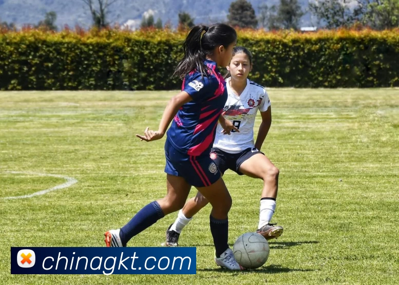 pg国际「中国」官方网站 - pg平台门户网站发展历程